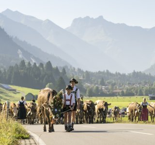 Viehscheid 2016