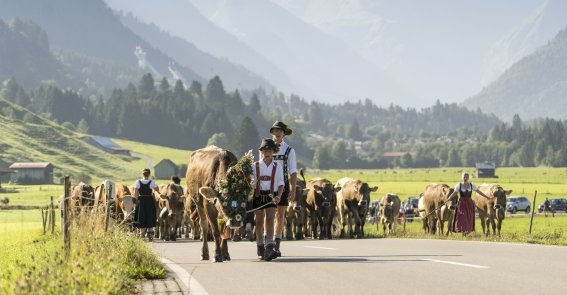 Viehscheid 2016