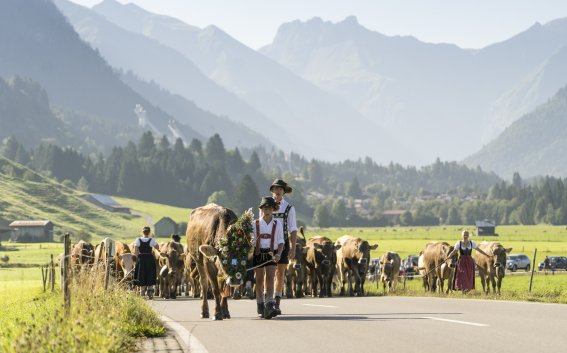 Viehscheid 2016