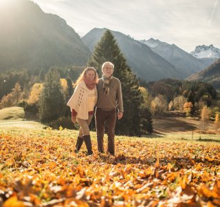 Spaziergang durch das Laub