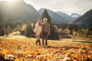 Spaziergang durch das Laub