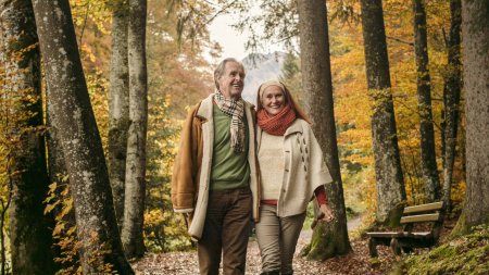 Spaziergang im Wald