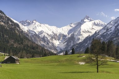 Frühling im Trettachtal