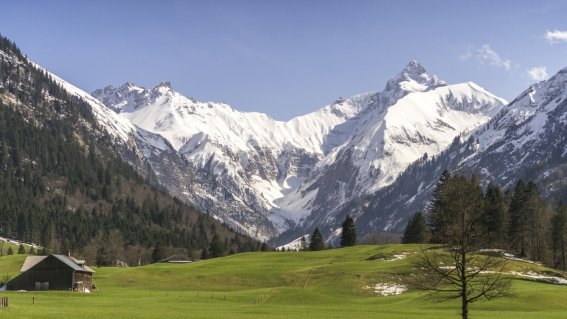 Frühling im Trettachtal
