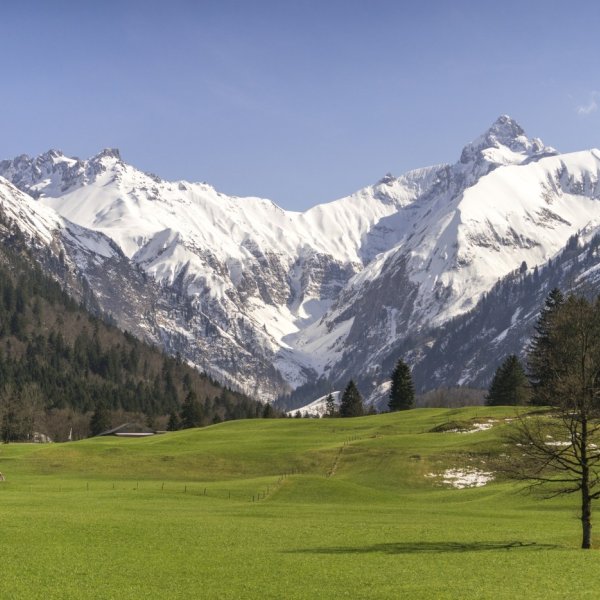 Frühling im Trettachtal