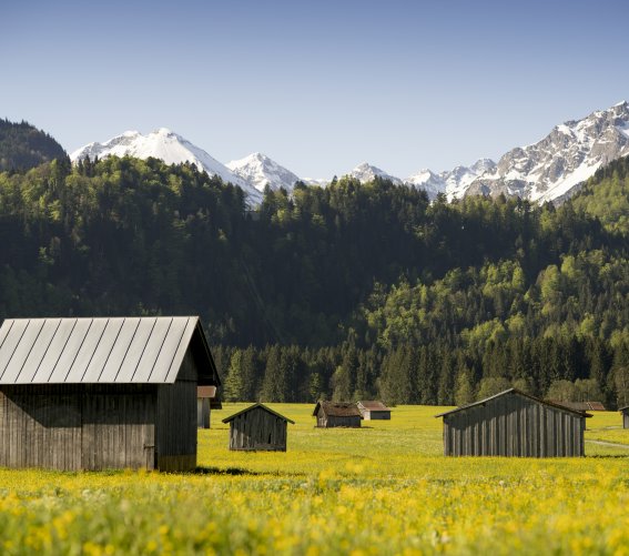 Öschwiesen