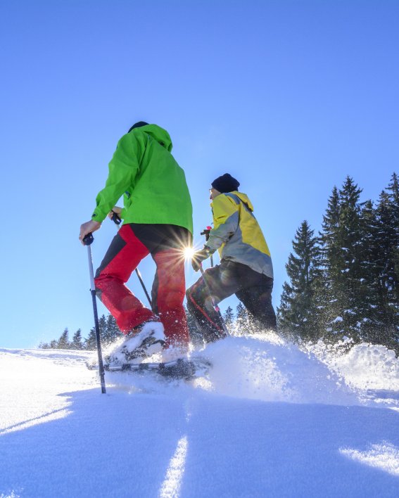 Gemeinsam durch Tiefschnee wandern