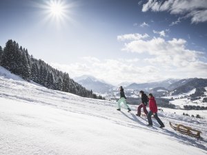 Gemeinsam mit dem Rodel unterwegs