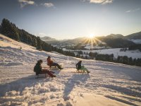 Der Sonne entgegen