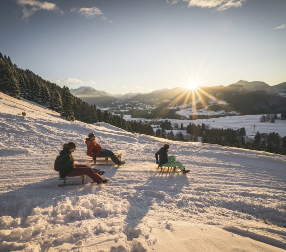 Der Sonne entgegen