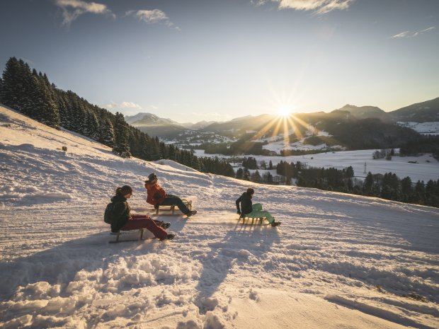 Der Sonne entgegen