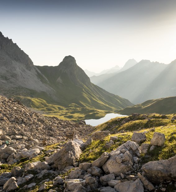 Blick zum Rappensee