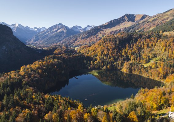 Blick über den Freibergsee Richtung Süden