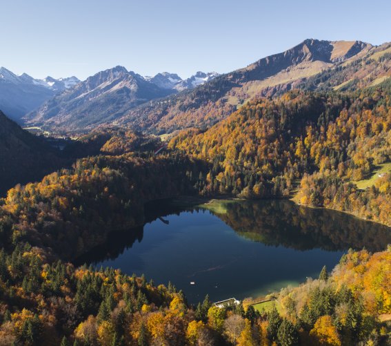 Blick über den Freibergsee Richtung Süden