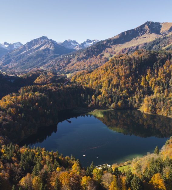 Blick über den Freibergsee Richtung Süden