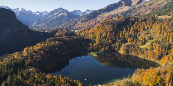 Blick über den Freibergsee Richtung Süden