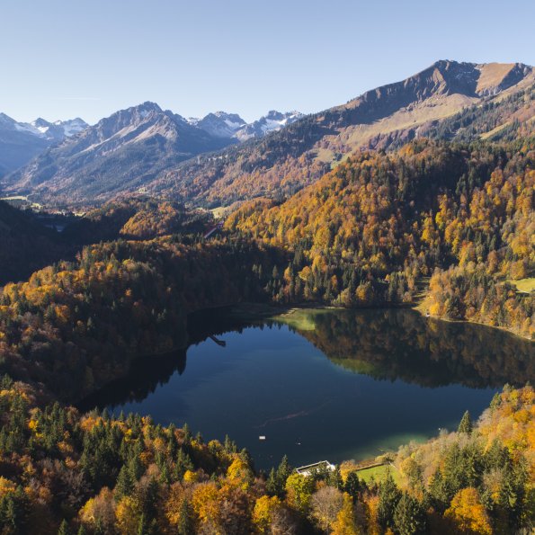 Blick über den Freibergsee Richtung Süden