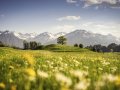 Blick auf das frühlingshafte Oberstdorf