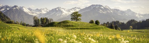Blick auf das frühlingshafte Oberstdorf