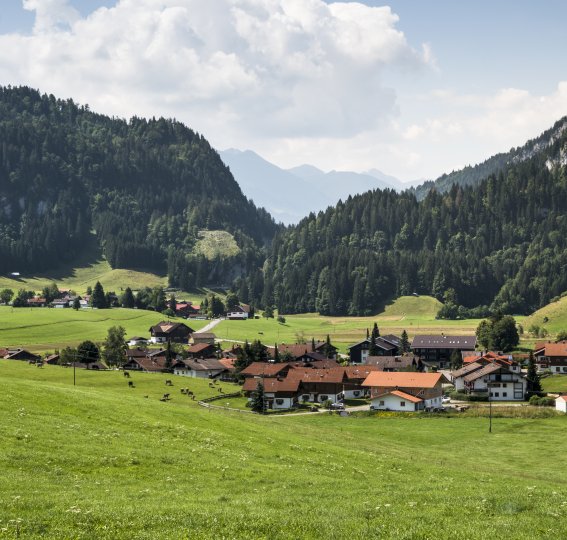 Ried bei Obermaiselstein