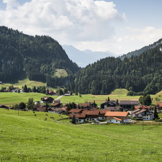 Ried bei Obermaiselstein