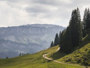 Blick auf den Ifen im Lochbachtal