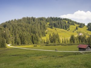 Auf dem Weg zur Toniskopf Alpe