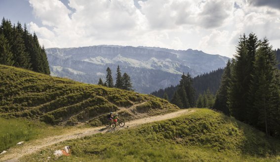 Schotterweg nach Rohrmoos