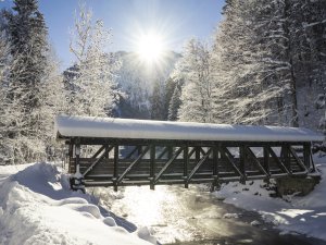 Brücke am Renksteg