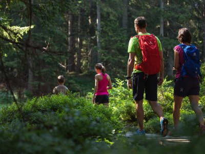 Wanderung durch den Wald