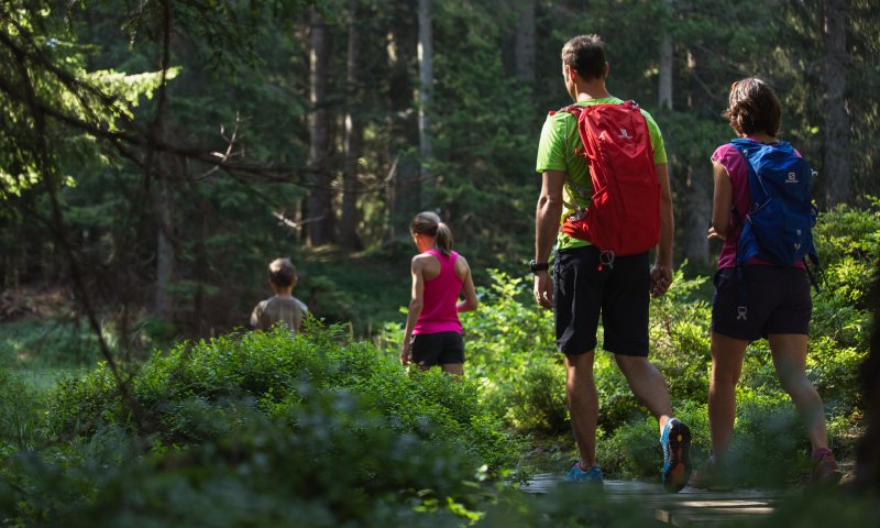 Wanderung durch den Wald