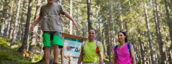 Spielerisch in der Natur unterwegs