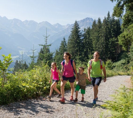 Gemeinsame Wanderung in der Natur