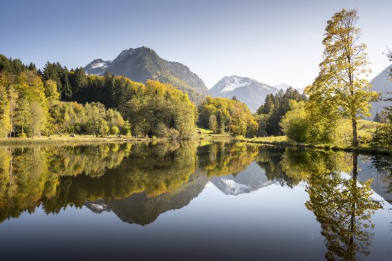 Herbst am Moorweiher