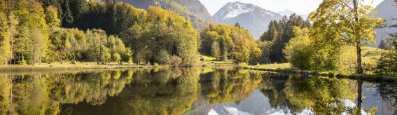 Herbst am Moorweiher