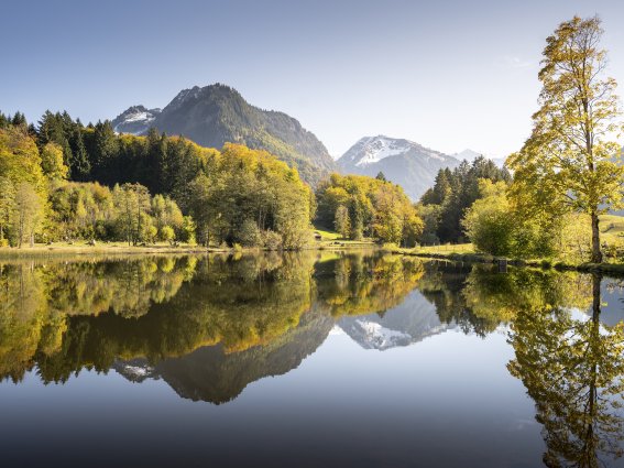 Am Moorweiher