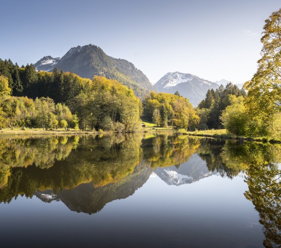 Herbst am Moorweiher