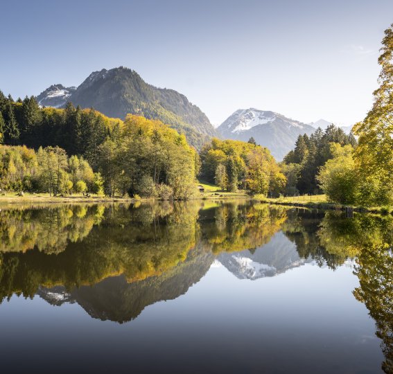 Herbst am Moorweiher