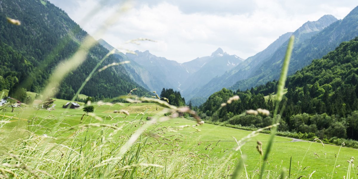 Das Trettachtal
