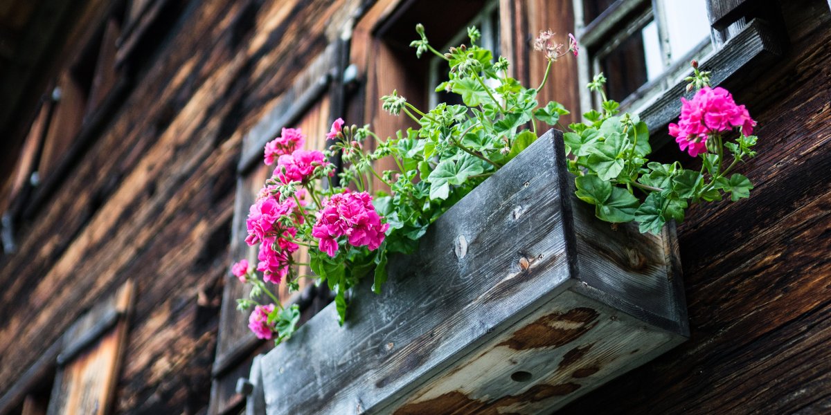 Blumenschmuck