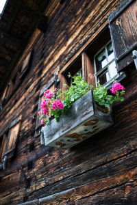 Blumenschmuck