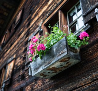 Blumenschmuck