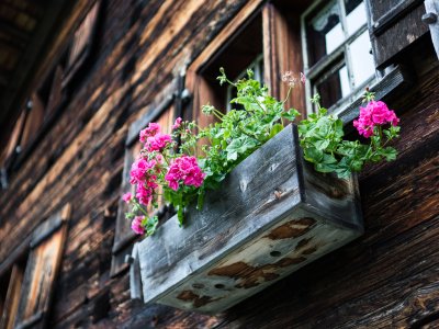 Blumenschmuck