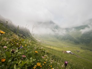 Blick auf die Käseralpe