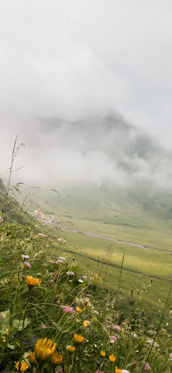 Blick auf die Käseralpe