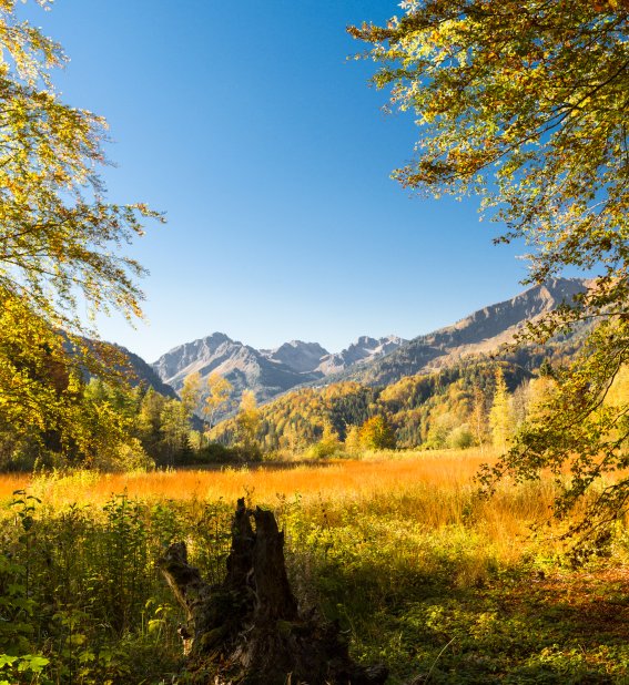 Herbst in Oberstdorf