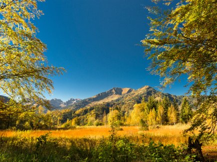 bunte Bäume am Moorweiher