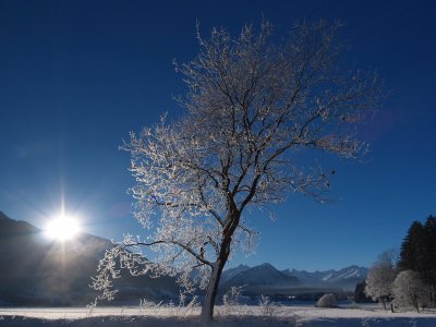 Winter