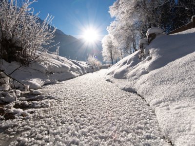 Winter