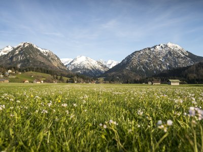 Blumenvielfalt im Ösch